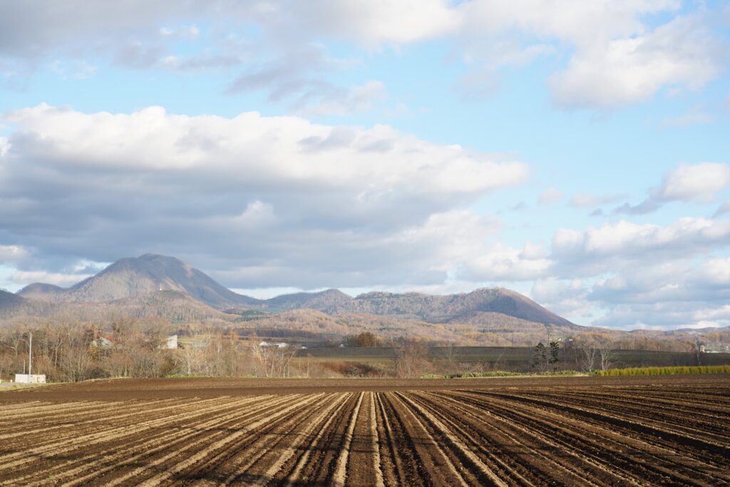 field-niseko
