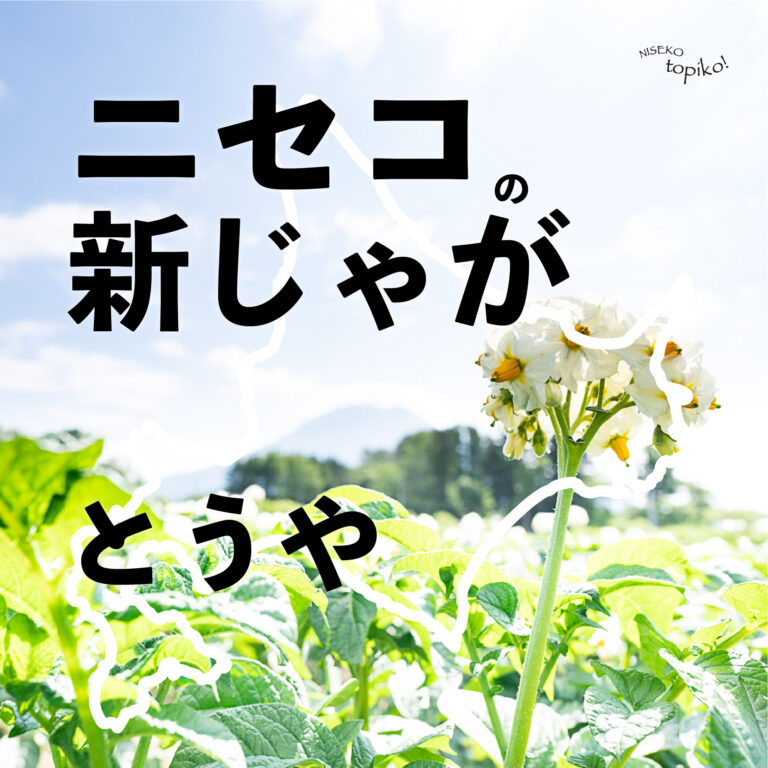 yun0001