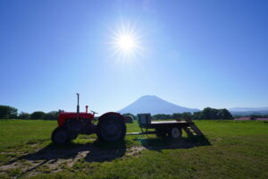 朝のニセコ高橋牧場