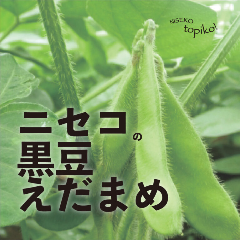 wyn0004