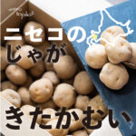 wyn0005-1