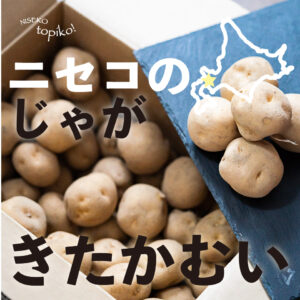 wyn0005-1